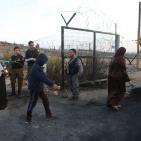 معصرة الجدار