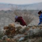 اهالي قرية بدرس يمنعون الاحتلال من هدم منزل في القرية