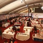 أفتتاح معرض