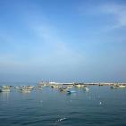 شاركونا بجولة في ميناء غزة