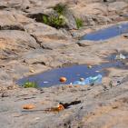 وادي قانا..جمال ملوث