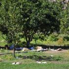 وادي قانا..جمال ملوث