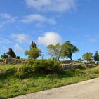 الأخضر يلون بيرزيت