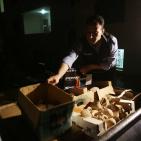 الشرطة تضبط كميات كبيرة من المخدرات والقطع الأثرية في بلدة حزما 