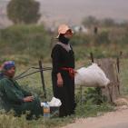 مهرجان الفقوس دير بلوط