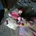 مؤثر- اسرائيل تغتال 