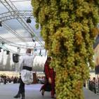 مهرجان العنب في حلحول