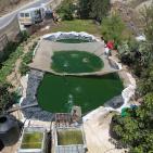 تربية الأسماك في نابلس