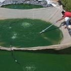 تربية الأسماك في نابلس