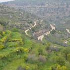 لقطات من قرية بتير قضاء بيت لحم