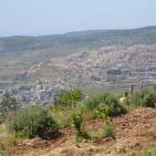 الاستيطان في نحالين