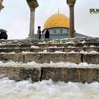 صور من تساقط الثلوج في باحات المسجد الأقصى المبارك