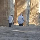 مستوطنون يتقدمهم المتطرف 