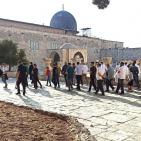 بالصور.. 430 مستوطنا يقتحمون الأقصى والاحتلال يعتقل شابا من باحاته