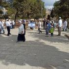 بالصور.. 430 مستوطنا يقتحمون الأقصى والاحتلال يعتقل شابا من باحاته