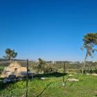 تظاهرة في لوبية المهجرة ضد اعتداءات الاحتلال على مقبرة القرية