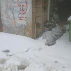 بالصور: جبال الخليل تكتسي بالثوب الأبيض