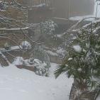 بالصور: جبال الخليل تكتسي بالثوب الأبيض