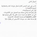 إجابات امتحان الأحياء للثانوية العامة 2022 توجيهي فلسطين الفرع العلمي
