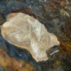 بالصور: أوقاف القدس تصلح تسريب في