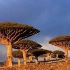 بالصور: البقعة الأكثر غرابة على الأرض