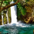 خاص | مصوّر يوثق الحياة البرية في معركة حماية البيئة والهوية