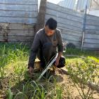 خاص | من موقدٍ بديل إلى حديقةٍ صغيرة… نصير يحوّل البتر إلى حياة في خيمة النزوح