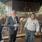 صور| وزارة الزراعة تفتتح عددا من المشاريع الزراعية الحيوية في قلقيلية