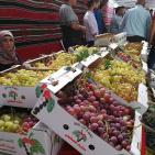 الخليل تحتفل بعنبها 