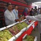 الخليل تحتفل بعنبها 