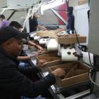 نفط مدينة القمر 