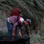 نفط مدينة القمر 