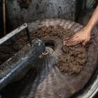 أقدم معاصر الزيتون في فلسطين 