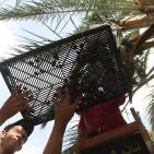 نفط مدينة القمر 