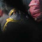 مواجهات بين طلاب جامعة بيرزيت وقوات الاحتلال على المدخل الشمالي لمدينة البيرة 