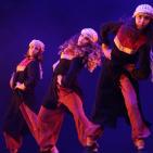 احتفالية بمناسبة مرور 30 عام على تأسيس مركز الفن الشعبي في قصر رام الله الثقافي 