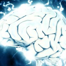 خلايا مناعية في الدماغ يمكن أن تساعد في إبطاء الزهايمر