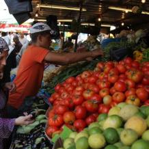 تقرير اسرائيلي: 40% من خضراوات الضفة تسبب السرطان وباركنسون