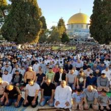 المفتي العام: صلاة عيد الفطر الساعة السادسة وخمس عشرة دقيقة صباحا