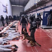 مؤسسات الأسرى توجه نداءً إلى المنظمات الحقوقية للتحرك من أجل وقف مشروع "قانون إعدام الأسرى"