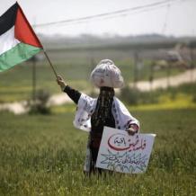 50 عاما على ذكرى يوم الأرض