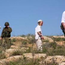 مئات الشكاوى بلا تحقيق.. شرطة الاحتلال تغطي  إرهاب المستوطنين