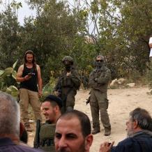 مستوطنون يطلقون مواشيهم في أراضي المواطنين بمسافر يطا ويسرقون مركبة