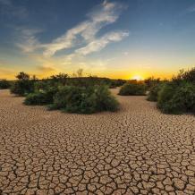 فلسطين تحدّث خطتها الوطنية لمواجهة التغير المناخي حتى عام 2040