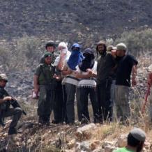 مستوطنون يهاجمون المواطنين في صافح تياسير شمال شرق طوباس