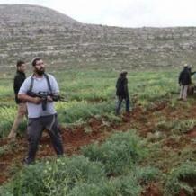 مستوطنون يتلفون 8 دونمات من حقول القمح والشعير في مسافر يطا