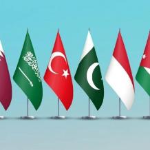 وزراء خارجية 8 دول يصدرون بيانًا حازمًا حول أوضاع غزة