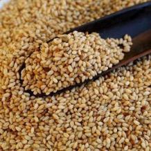 جامعة القدس المفتوحة تفوز بتمويل دولي لتحسين الصفات الوراثية للسمسم