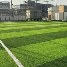 الاحتلال يمنع إدخال شحنة عشب اصطناعي مخصصة للملاعب الفلسطينية