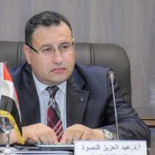 من هو وزير التعليم العالي والبحث العلمي عبد العزيز قنصوة - السيرة الذاتية